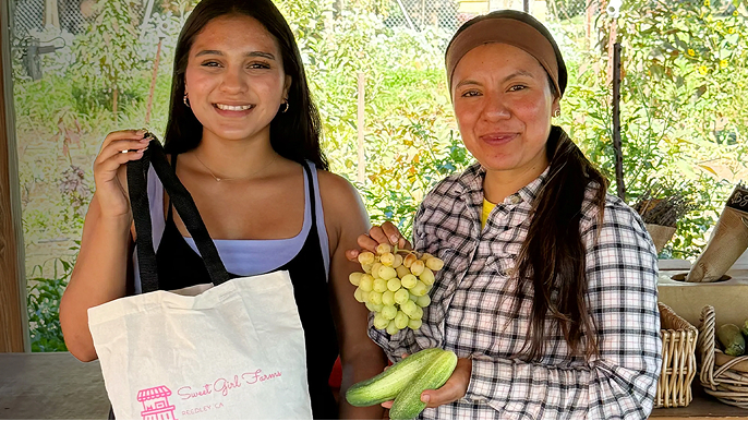 hero section promo banner