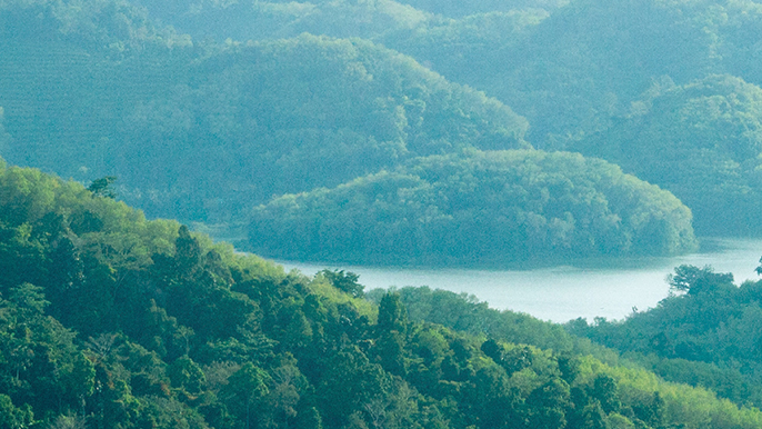 hero section promo banner